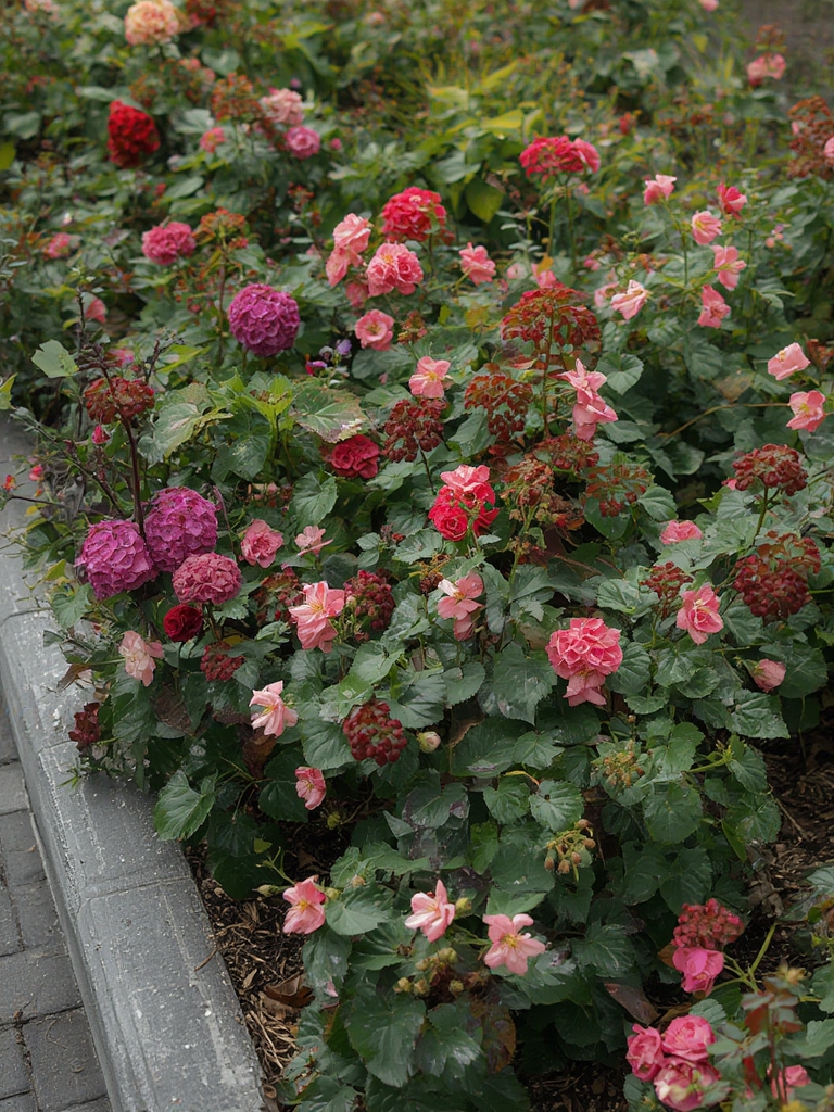 Flowers That Naturally Protect Your Garden From Pests