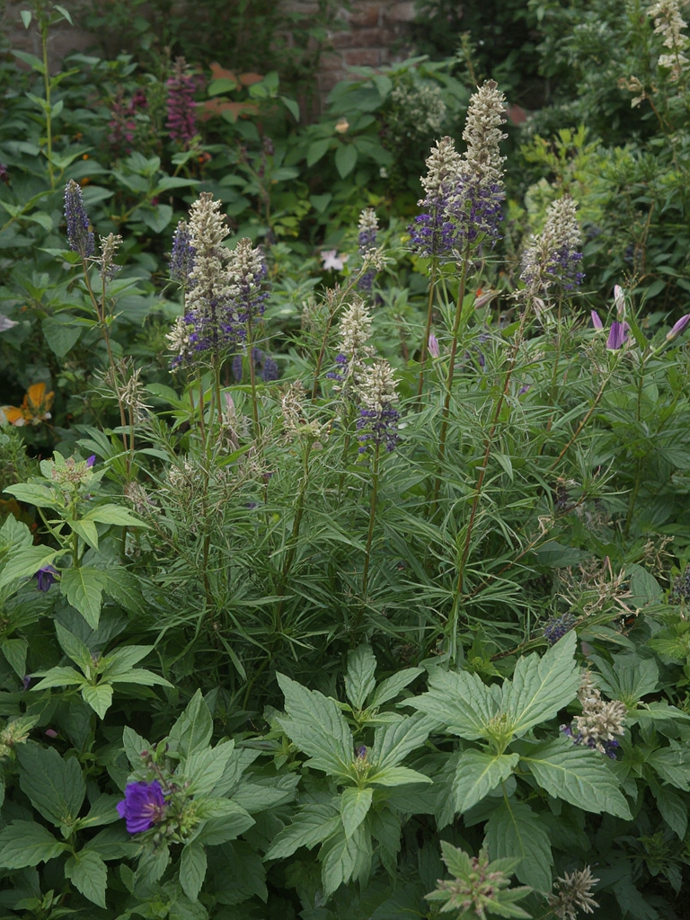 Fresh Herb Ideas You Can Use Every Day