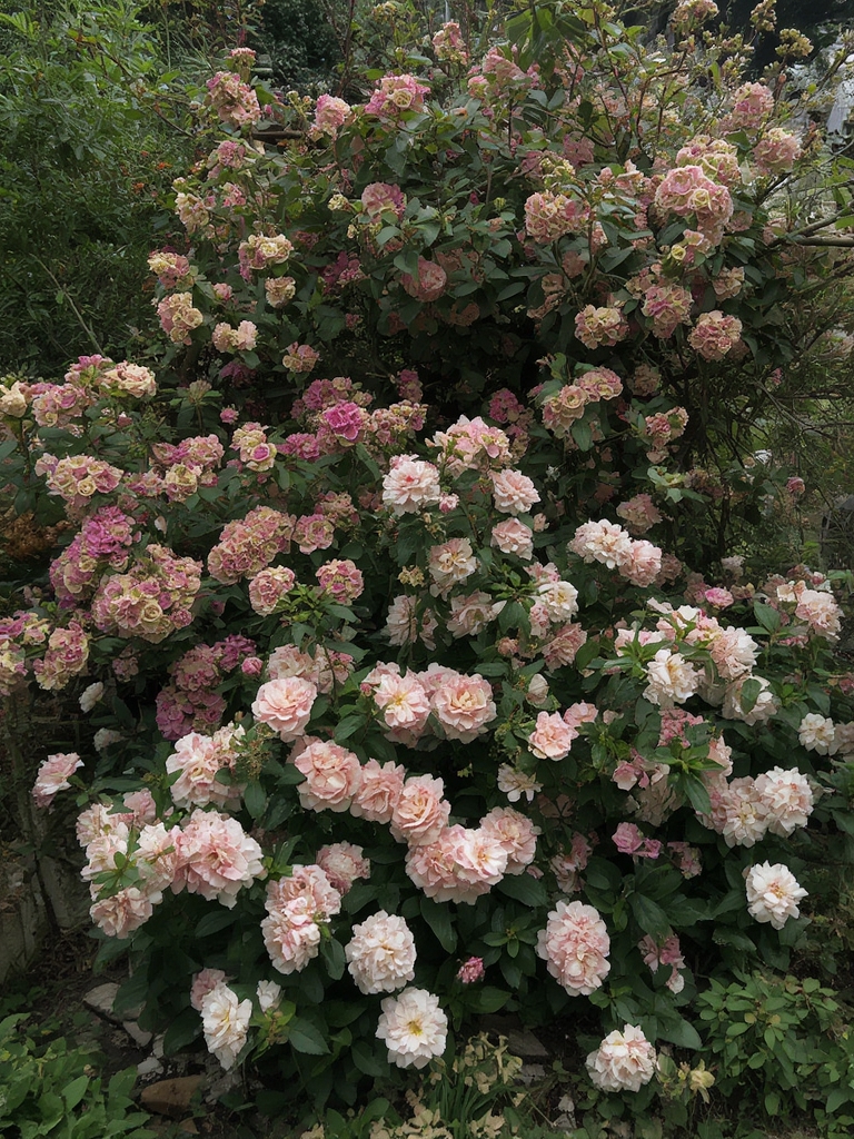 Garden Wall Decor Ideas That Add Personality